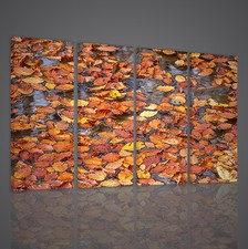 QUADRI MODERN COLOR  NATURE QUADRO MODERNO XXL ARREDAMENTO CASA STAMPA   