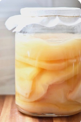 Kombucha scoby jun - jun, te'