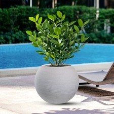 DIVINA GARDEN Vaso in Resina