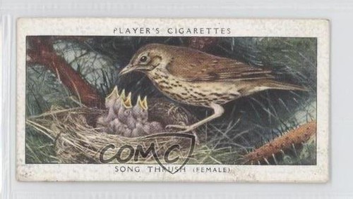 1937 player birds their - &,
