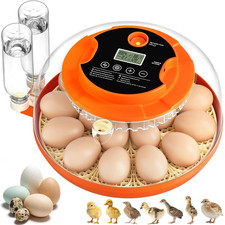 Egg incubators for - 18, hatching