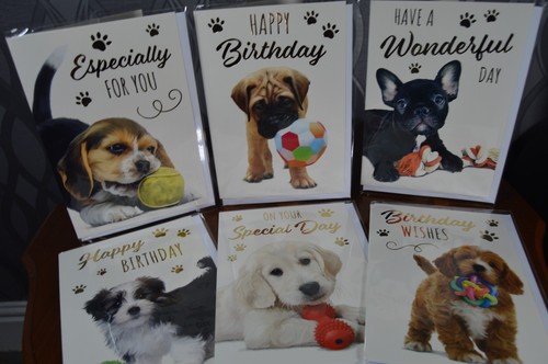 Confezione cani cuccioli - cani,