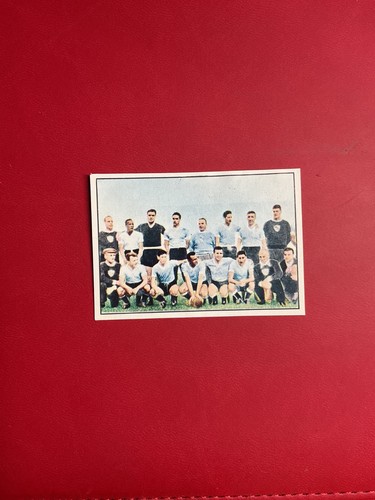 Figurina calciatori panini - figurina,