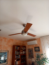 Vendita lampadario con pale