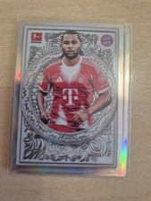 Inserto ornamentale Topps