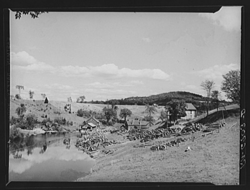 Foto segheria 10 1936 - segheria, 8"