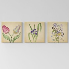 Set 3 Quadri Moderni con Fiori
