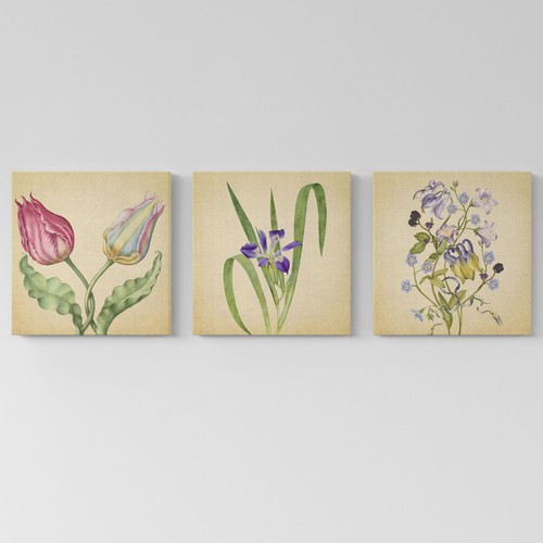 Set quadri moderni con - con, fiori