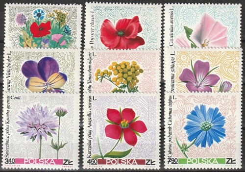 Polonia michel 1781 89 - polonia,