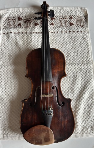 Violino antico famiglia - antico,