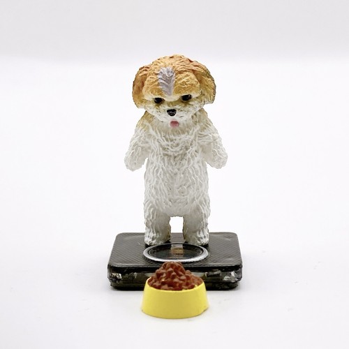 Shih tzu panda ana - panda's,
