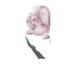 Poster moderno Fiore Arredo