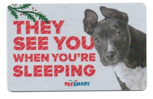 Petsmart cute dog - dog, see