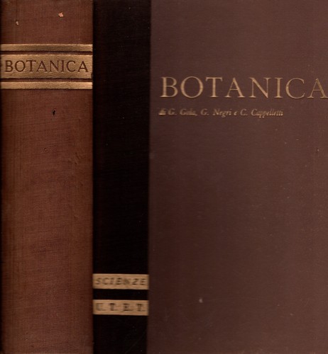 Trattato botanica utet - di,