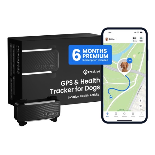 Smart dog gps tracker - smart, con