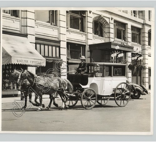 Carrozza cavalli city - carrozza, su
