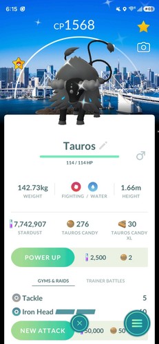 Pokemon shiny tauros - pokemon✨shiny, paldean