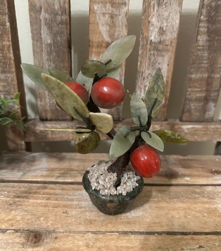 Mini bonsai asiatico - , vintage