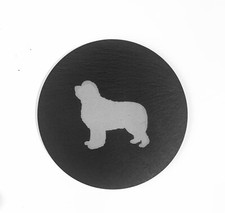 Terranova Cane Ardesia