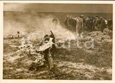 1940 FRANCIA WW2 Bombardiere tedesco abbattuto da caccia francese *Fotografia