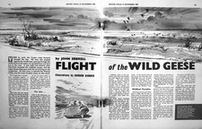 Vecchia Stampa Vintage Rivista