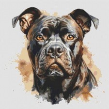 American Bully Puppy Dog opera