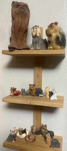 Group yorkshire terrier - of,