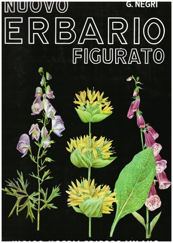 Nuovo erbario figurato