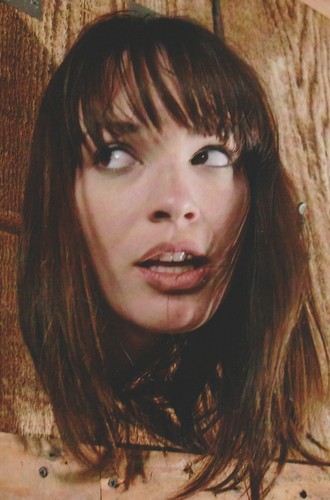 Dana armond 12 - #o5°,