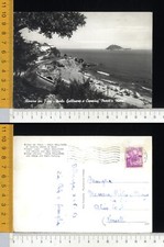 14266] SAVONA - ISOLA GALLINARA E CAMPING MONTI E MARE - 1963