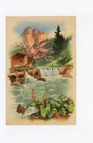 Cartolina illustrata - ,