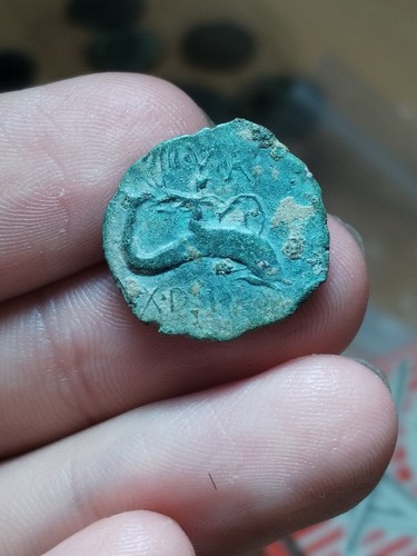 Moneda iberica carteia muy - carteia,