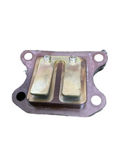 Lamelle Aspirazione  Honda Sh