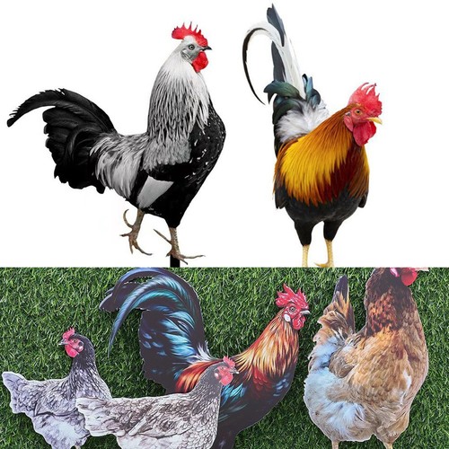 Decorazioni esterno - decorazioni, da