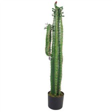 Pianta di cactus artificiale