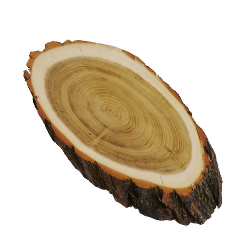 Cervi scudo trofeo acacia - cervi,