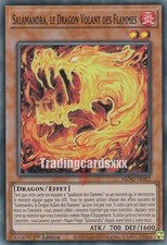 Yu-Gi-Oh! Salamandra, le
