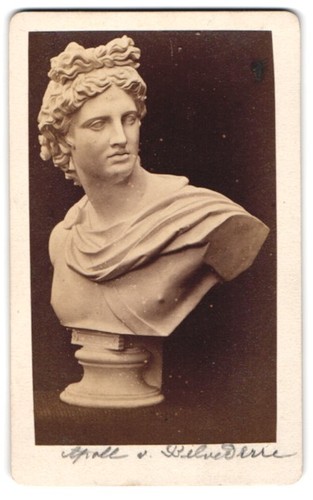 Fotografia busto apollo del - fotografia,