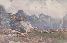 ARTE - Sul Longhin (Maloia)