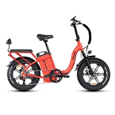 Bicicletta Elettrica Rattan LF