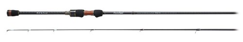Palms pinwheel pfss 77l canna - palms,
