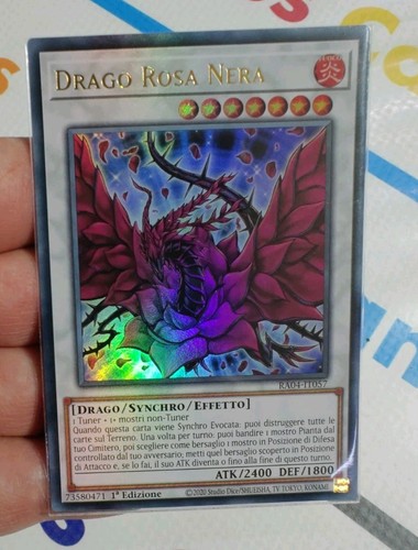 Drago rosa nera - nera, rara