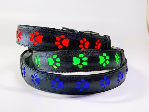Collare sicurezza per - sicurezza, cani