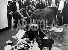 Foto vintage Animali, Francia