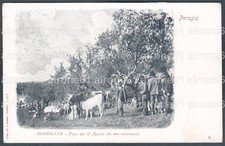 PERUGIA CITTÀ 60 Quartiere