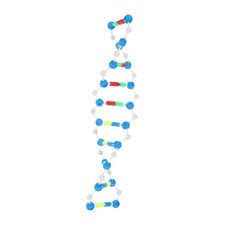  Modello Genetico Dna