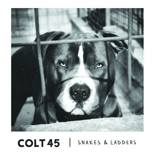 Snakes ladders colt - , 45