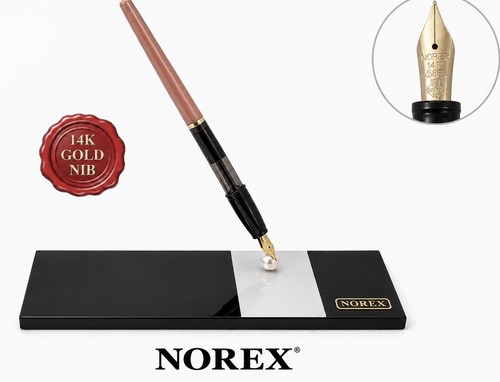 Norex penna stilografica - penna,