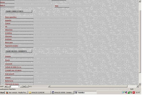 Software gestionale programma
