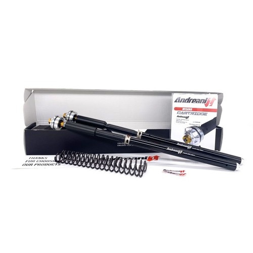Andreani kit cartucce forcella - andreani,